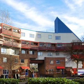 Refurbishment of roofs and <b>canopies at the iconic Byker Wall estate</b> image