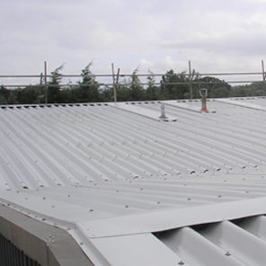 New lease of life for <b>Salisbury roof</b> image